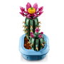 LEGO Botanicals Cactus en Flor 11509