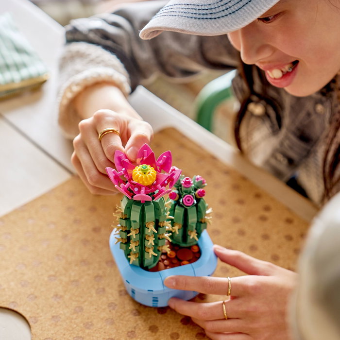 LEGO Botanicals Cactus en Flor 11509 LEGO Botanicals Cactus en Flor 11509