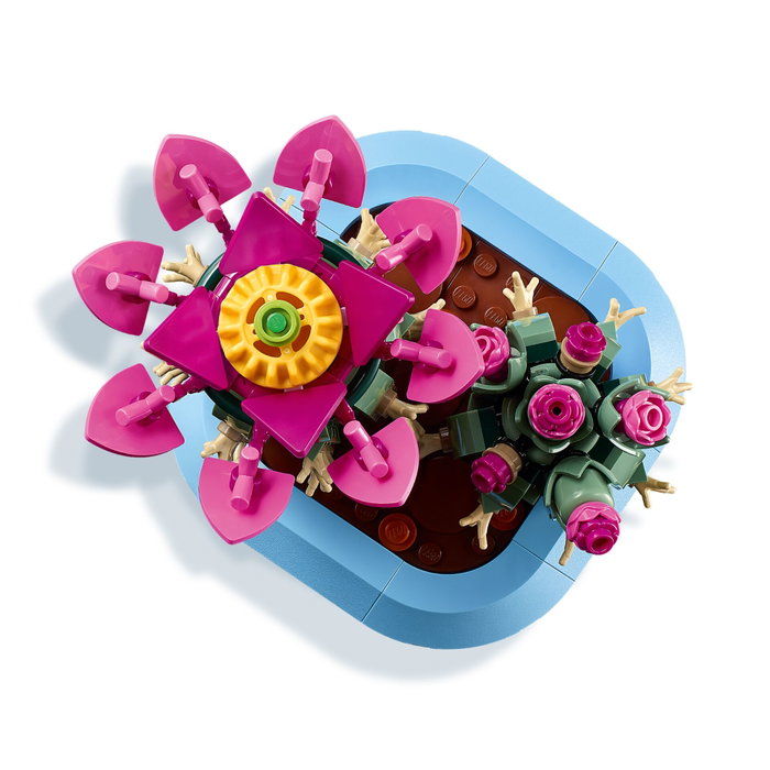 LEGO Botanicals Cactus en Flor 11509 LEGO Botanicals Cactus en Flor 11509
