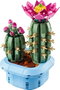 LEGO Botanicals Cactus en Flor 11509