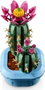 LEGO Botanicals Cactus en Flor 11509