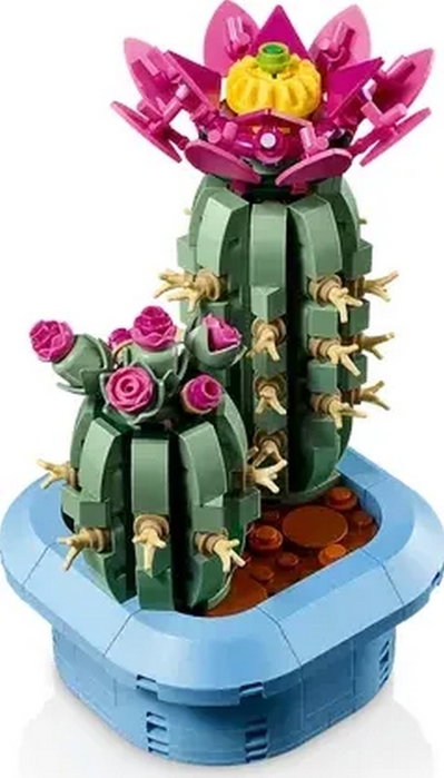 LEGO Botanicals Cactus en Flor 11509