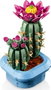 LEGO Botanicals Cactus en Flor 11509