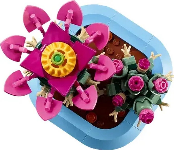 LEGO Botanicals Cactus en Flor 11509