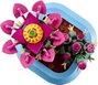 LEGO Botanicals Cactus en Flor 11509