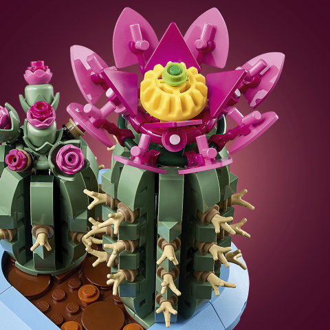 LEGO Botanicals Cactus en Flor 11509