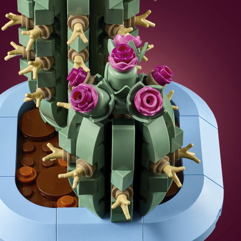 LEGO Botanicals Cactus en Flor 11509