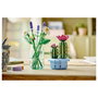 LEGO Botanicals Cactus en Flor 11509