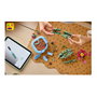 LEGO Botanicals Cactus en Flor 11509