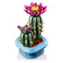 LEGO Botanicals Cactus en Flor 11509