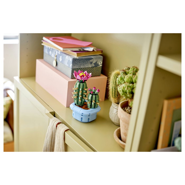 LEGO Botanicals Cactus en Flor 11509