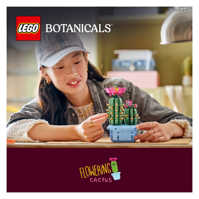 LEGO Botanicals Cactus en Flor 11509