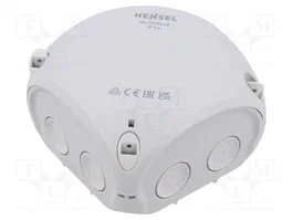 HENSEL ENYCASE® Caja de conexiones gris IP66