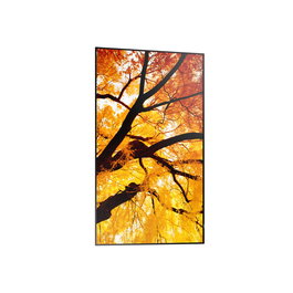 Sharp multisync m322 pantalla plana para señalización digital 81,3 cm (32") lcd 550 cd / m² full hd negro