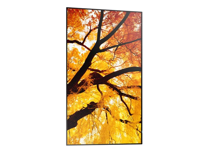 Sharp multisync m322 pantalla plana para señalización digital 81,3 cm (32") lcd 550 cd / m² full hd negro Sharp multisync m322 pantalla plana para señalización digital 81,3 cm (32") lcd 550 cd / m² full hd negro