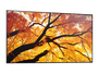 Sharp MultiSync M322 Pantalla Plana Señalización Digital 32" LCD 550 cd/m² Full HD Negra