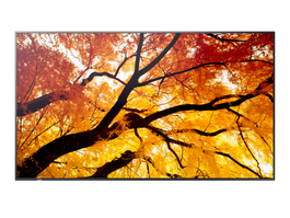 Sharp MultiSync M322 Pantalla Plana Señalización Digital 32" LCD 550 cd/m² Full HD Negra