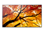 Sharp MultiSync M322 Pantalla Plana Señalización Digital 32" LCD 550 cd/m² Full HD Negra