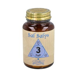 Salys Salys-90 03 Fep 90Comp. Sal con Hierro para Circulación Sanguínea y Absorción de Hierro, 90 Comprimidos