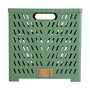 Dill Caja Plegable Tapa Asas Almacenamiento Verde 30x28x30 cm