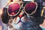DKD Home Decor Cuadro Aluminio MDF Gato Gafas Surtido de 2 Unidades