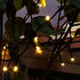 Home Deco Factory Guirnalda Interior/Exterior 200 LEDs Luz Blanca Cálida