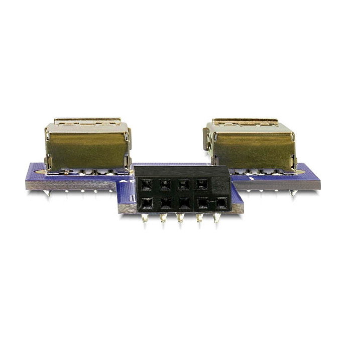 DeLOCK Adaptador de Cabezal de Pines USB de 9 pines a 2 x USB 2.0