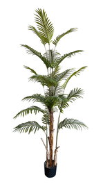 DKD Home Decor Palmera Verde y Marrón 90x90x203 cm