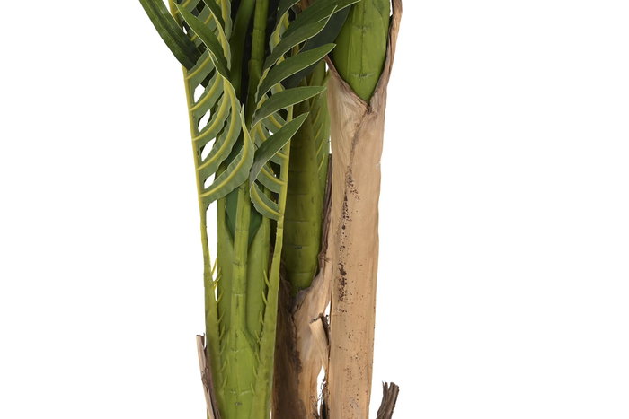 DKD Home Decor Palmera Verde y Marrón 90x90x203 cm