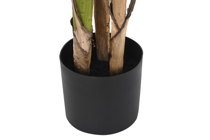 DKD Home Decor Palmera Verde y Marrón 90x90x203 cm
