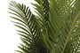 DKD Home Decor Palmera Verde y Marrón 90x90x203 cm