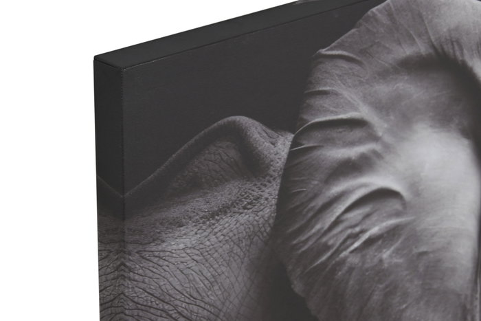 DKD Home Decor Cuadro Lienzo 120x80 Fotoimpreso Surtido de 2 Unidades DKD Home Decor Cuadro Lienzo 120x80 Fotoimpreso Surtido de 2 Unidades