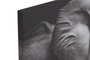 DKD Home Decor Cuadro Lienzo 120x80 Fotoimpreso Surtido de 2 Unidades