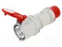 SEZ DK Adaptador de transición IEC 60309 A 16-32/4