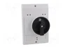 EATON ELECTRIC Carcasa para panel IP54