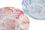 DKD Home Decor Set de 12 Platos de Melamina Corales en Colores Surtidos de 23x23x3,6 cm