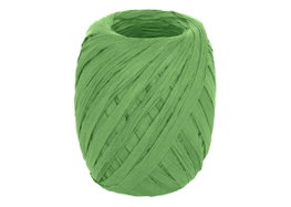 Innspiro Rafia de papel color verde 4mm x 30m