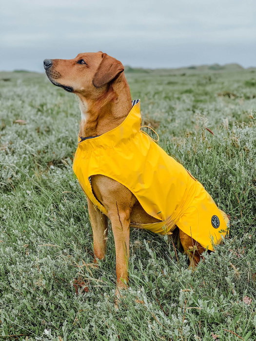Hunter Abrigo Milford 50 cm Amarillo para Perro, Cuello 32-60 cm, Vientre 52-64 cm, Impermeable y Resistente al Viento, Poliéster