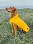 Hunter Abrigo Milford 50 cm Amarillo para Perro, Cuello 32-60 cm, Vientre 52-64 cm, Impermeable y Resistente al Viento, Poliéster