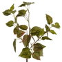 Ixia Rama Verde de PVC para Jardín 74 x 18 x 75 cm
