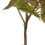 Ixia Rama Verde de PVC para Jardín 74 x 18 x 75 cm