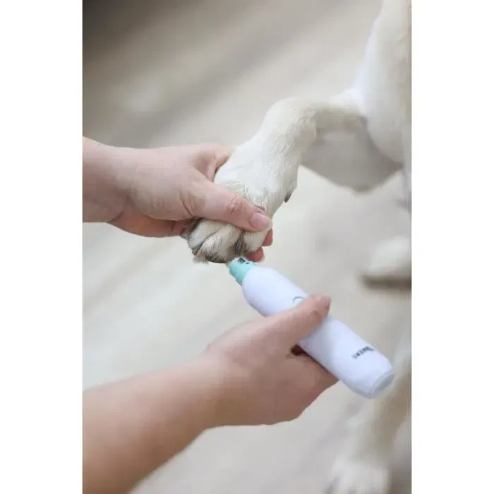 Kerbl KER4018653253687 Garras para perros, gatos y animales pequeños - 15.5 x 3.5 x 2.5 cm - Blanco Kerbl KER4018653253687 Garras para perros, gatos y animales pequeños - 15.5 x 3.5 x 2.5 cm - Blanco