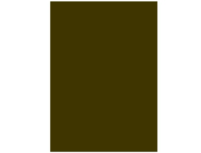 Liderpapel Cartulina 50x65 cm 240 g/m2 Marron Claro Escolar