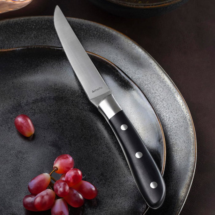 Set 6 Cuchillos Steaks Acero Inoxidable Achille Noir Amefa 23x2,4x1,5 cm