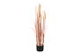 DKD Home Decor Planta de Junco Coral PE/PVC 25x25x90 cm