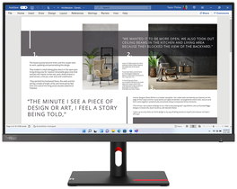 Lenovo ThinkVision S27i-30 Full HD IPS 27 pulgadas Gris Storm Grey