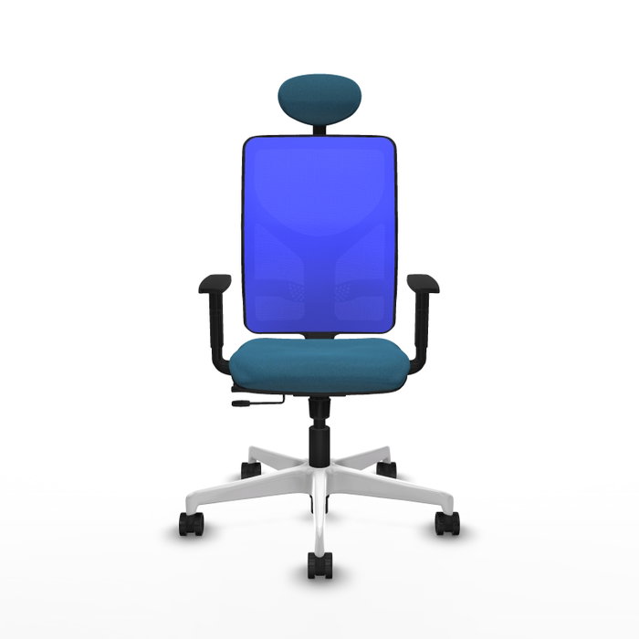 PIQUERAS Y CRESPO Silla de oficina Motilla con mecanismo Sincro/Traslack, Verde petróleo y Azul