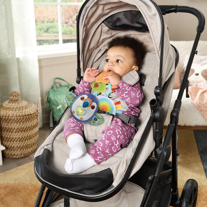 Vtech Tucán Musical de Felpa Hora De Pasear Vtech Tucán Musical de Felpa Hora De Pasear