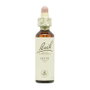 BACH Olive (Olivo) Nº23 20ml