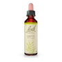 Bach Original Olive (Olivo) Nº23 20ml